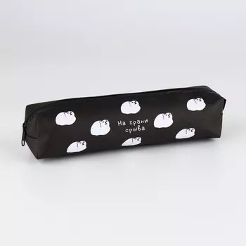 Пенал школьный из искусственной кожи «На грани срыва» , 1983 см