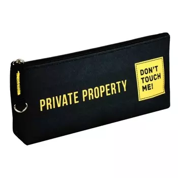 Пенал мягкий, 1 отделение, 80 х 210 х 35 мм, объёмный, микрофибра на ПВХ-основе, Феникс "Частная собственность"