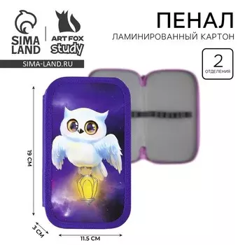 Пенал школьный, 2 секции, 1910.5 см «Совушка»