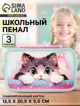 Пенал школьный, 3 секции, 12.520.55.5 см «Кот Корея»