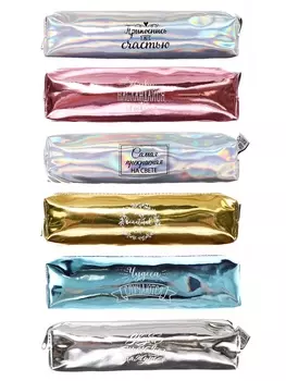 Пенал школьный Calligrata, на молнии, МИКС