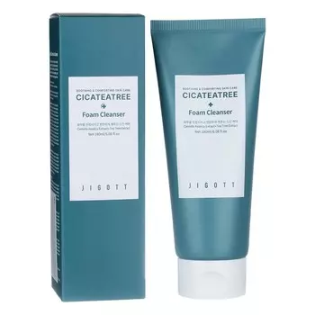 Пенка для лица очищающая с экстрактами центеллы азиатской и чайного дерева