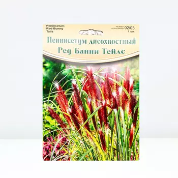 Пеннисетум "Red Bunny Tails", р-р 02/03, 1 шт, Весна 2024