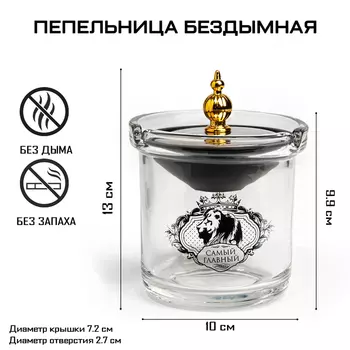Пепельница для дома бездымная «Самый главный», для сигарет и стиков, 9.712.5 см, серебро