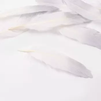Перья для декора, серебро частичная окраска , 13-15 см 10 шт