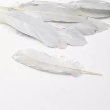Перья для декора, серебро полная окраска, 13 - 15 см 10 шт.