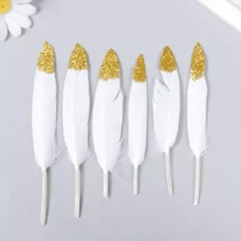 Перья для творчества, 14-16 см, золото-серебро, МИКС, №9