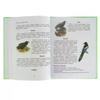 Первая после букваря книга для чтения. Жукова Н.С.
