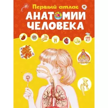 Первый атлас анатомии человека. Барсотти Э.