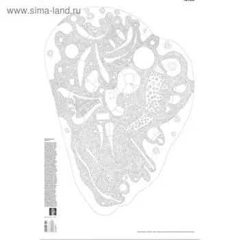 Пестрый ансамбль. Раскраска