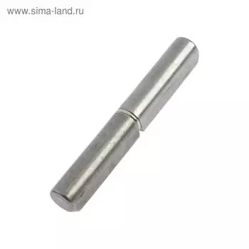 Петля гаражная ТУНДРА каплевидная, 16х120 мм, без покрытия, 1 шт.
