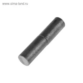 Петля гаражная ТУНДРА с шаром, 24х110 мм, без покрытия, 1 шт.