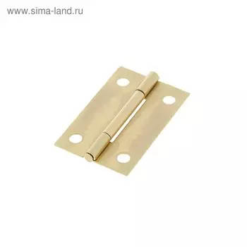 Петля карточная 1837, 36х23 мм, цвет латунь