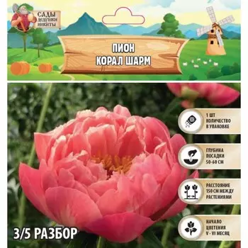 Пион "Coral Charm", р-р 3/5, 1 шт, Весна 2025