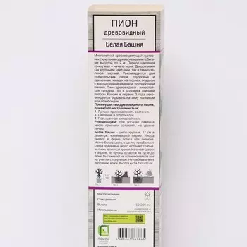 Пион древовидный (привитый на травянистый) "Белая Башня ", 1 шт, туба, Весна 2025