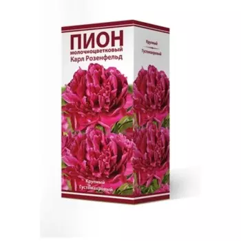 Пионы молочноцветковые и гибриды "Карл Розенфельд", 1 шт, р-р 2-3, Весна 2024