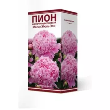 Пионы молочноцветковые и гибриды "Месье Жюль Эли", 1 шт, р-р 2-3, Весна 2024