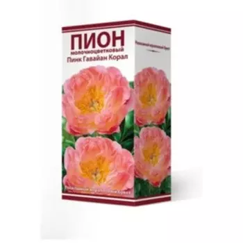 Пионы молочноцветковые и гибриды "Пинк Гавайан Корал", 1 шт, р-р 2-3, Весна 2024