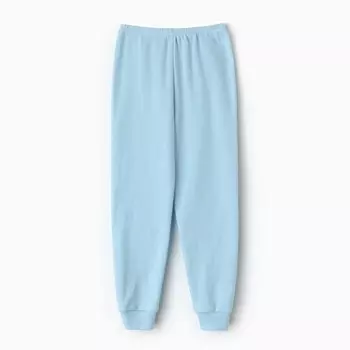 Пижама для мальчика (свитшот, брюки), цвет голубой/акула сёрфинг, рост 116 см