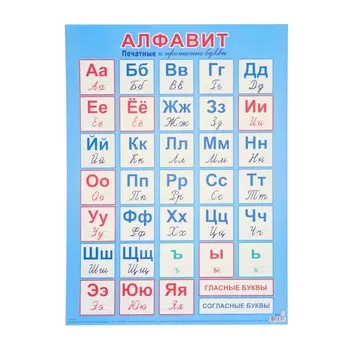Плакат «Алфавит. Печатные и прописные буквы» картон, 44.560 см