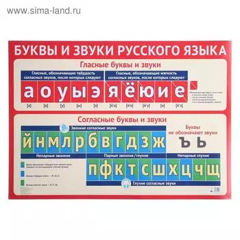Плакат "Буквы и звуки русского языка" А2