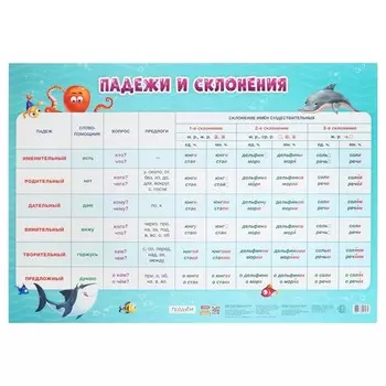 Плакат дидактический «Падежи и склонения», 45 64 см