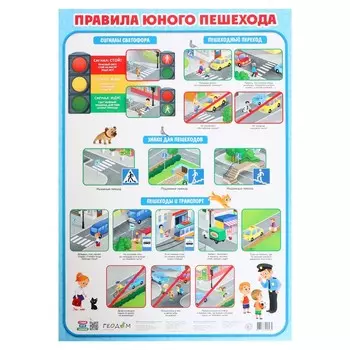 Плакат дидактический «Правила юного пешехода», 45 64 см