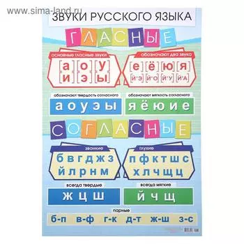 Плакат "Гласные и согласные звуки" А2