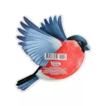 Плакат "Летящий снегирь" 15х15 см