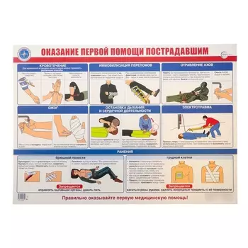 Плакат «Оказание первой помощи пострадавшим» А2