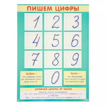 Плакат «Пишем цифры», картон, 44.560 см