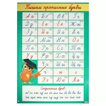 Плакат "Прописные буквы" сова, А2