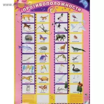 Плакат. Противоположности