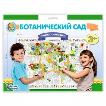 Плакат-раскраска «Ботанический сад»