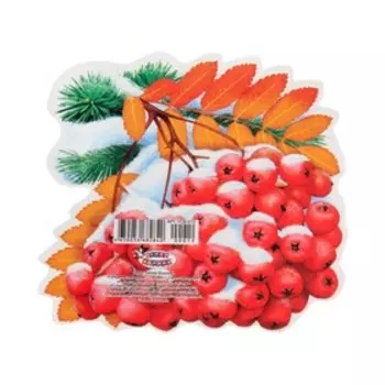 Плакат "Рябина в снегу" 15х15 см