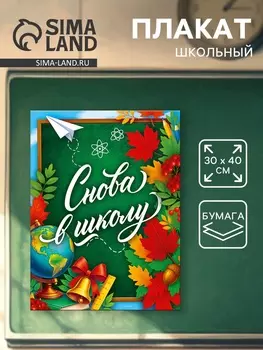 Плакат «Снова в школу» 3040 см