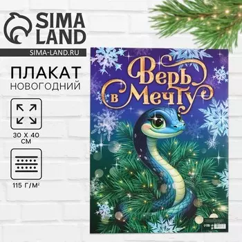 Плакат «Верь в мечту», 3040 см