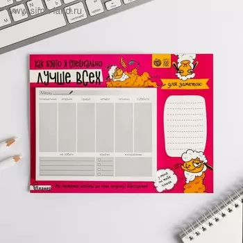 Планер на магнитах с отрывными листами "Как будто я специально лучше всех", 50 л., 15 х 20 см (размер части для заполнения 10 х 13 см)