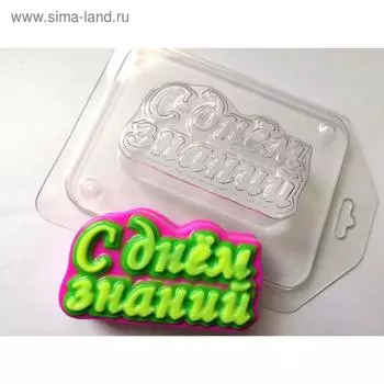 Пластиковая форма "С днём знаний" 2х7,5 см