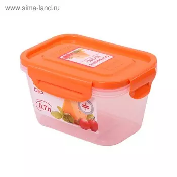 Пластиковый герметичный контейнер, объём 700 мл