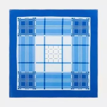 Платки носовые мужские «Этель», 3030 см, набор 12 шт., голубые, рисунок МИКС, хлопок 100%