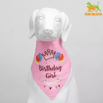 Платок для животных «С днём рождения», 15121 см, розовый