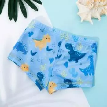 Плавки купальные для мальчика KAFTAN «Динозавры», рост 110-116 (32)