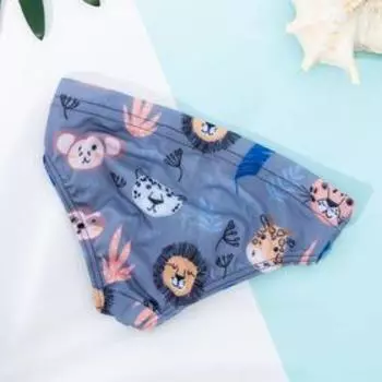 Плавки купальные для мальчика KAFTAN «Сафари», рост 110-116 (32)