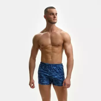 Плавки мужские, цвет синий/голубой, размер 54