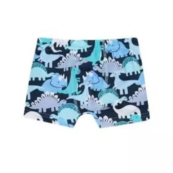 Плавки-шорты для мальчиков «Пляжная история», рост 128 см