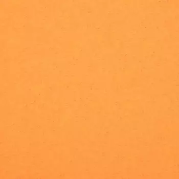 Плед "Экономь и Я" Оранжевый 150*200см, пл.160 г/м2, 100% п/э