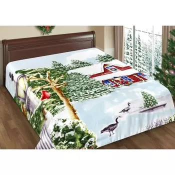 Плед Winter birds, размер 150х200 см