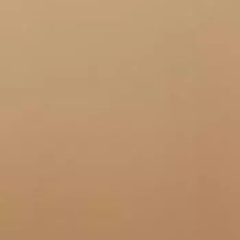 Пленка для цветов "Армани" коричневый, 0,58 х 10 м