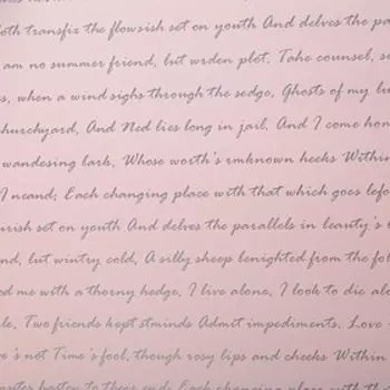 Пленка для цветов «Послание», чайная роза, 0.610 м